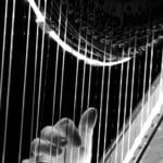 Missoula Symphony Harp Performance