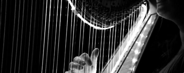 Missoula Symphony Harp Performance