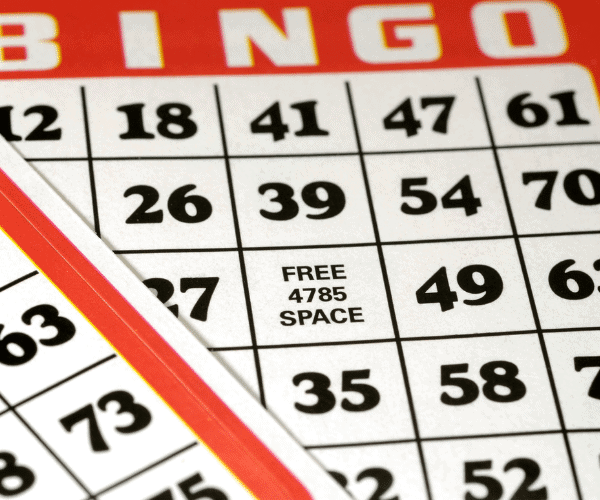 Family History Bingo