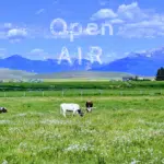 Open AIR Artist Talks