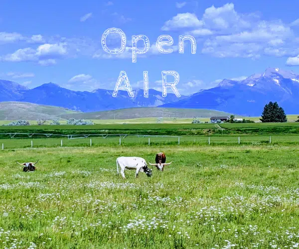 Direct Animation with Justine Lai 7 Open AIR Artist Talks