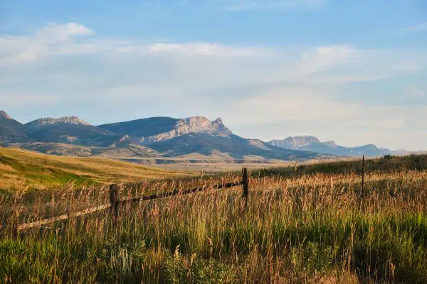 Connecting to Land Through an Indigenous Lens