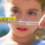 Be a Biologist Program with spectrUM 321 Be a Biologist Program with spectrUM