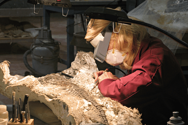 Fossils Rock! Lecture Series 7 Fossils Rock! Lecture Series