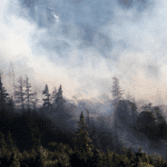 Air, Wildfire, and Smoke