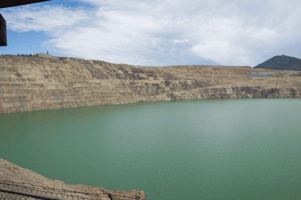Waterfowl Protection at Berkeley Pit