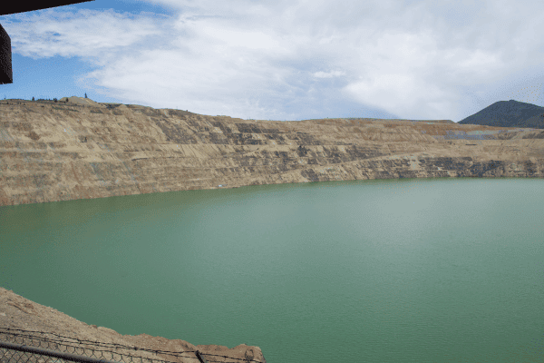 Waterfowl Protection at Berkeley Pit 7 Waterfowl Protection at Berkeley Pit