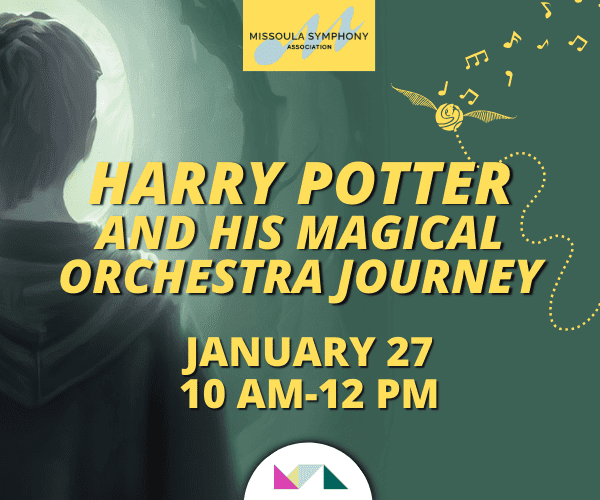 Harry Potter and His Magical Orchestra Journey