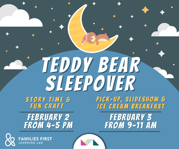 Teddy Bear Sleepover