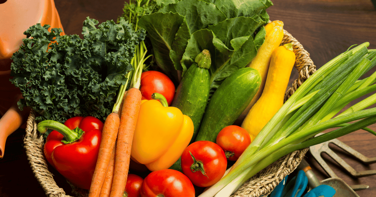 The Garden Meal 7 The Garden Meal with Dr. Christina Yoshimura