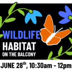 Wildlife Habitat on the Balcony! 1 Wildlife Habitat on the Balcony