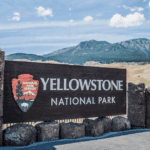 A Place Called Yellowstone: An Evening of Conversation between Randall Wilson and Peter Stark