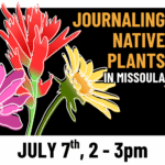 Journaling Native Plants in Missoula 1 Journaling Native Plants