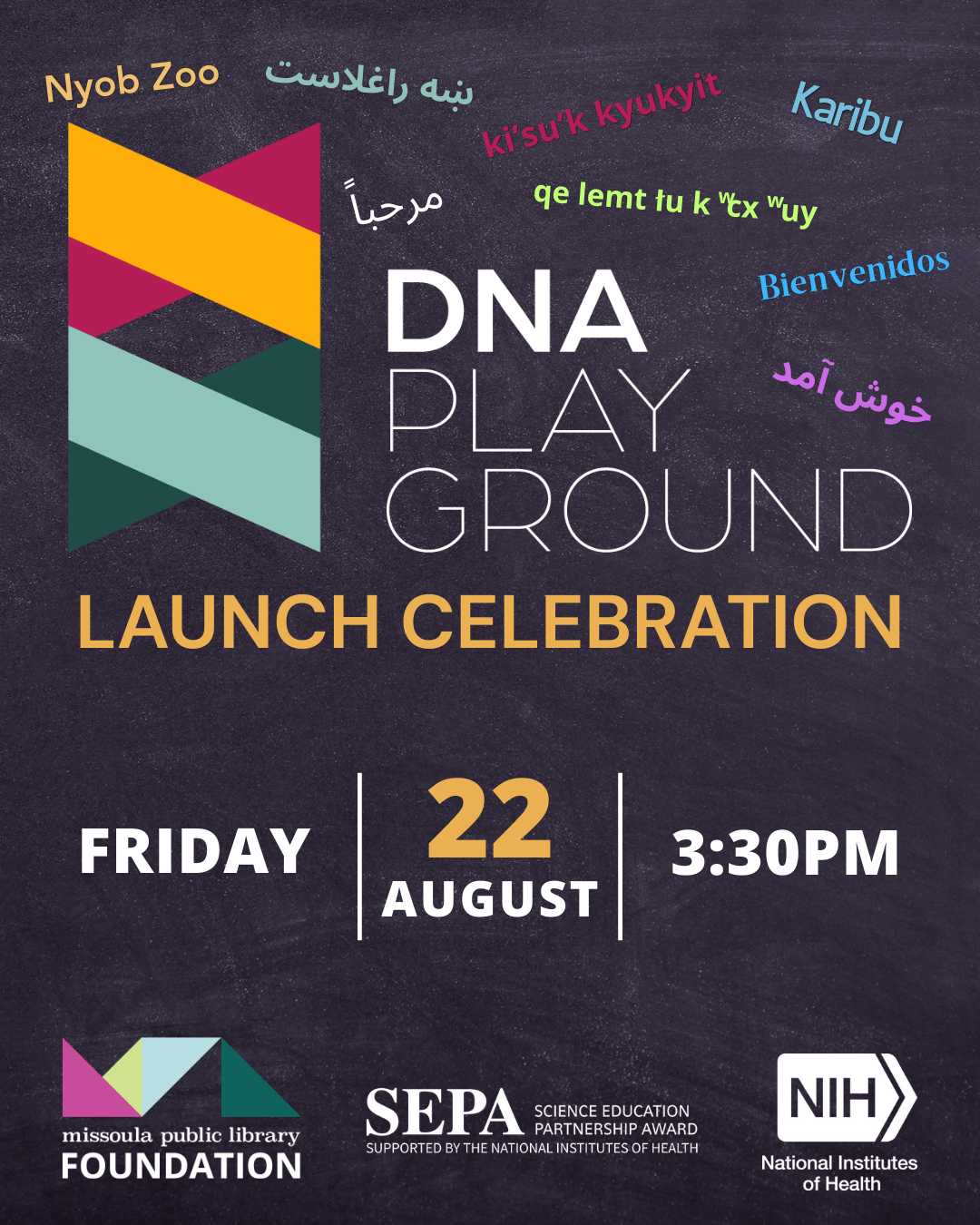 DNA Playground Launch Celebration