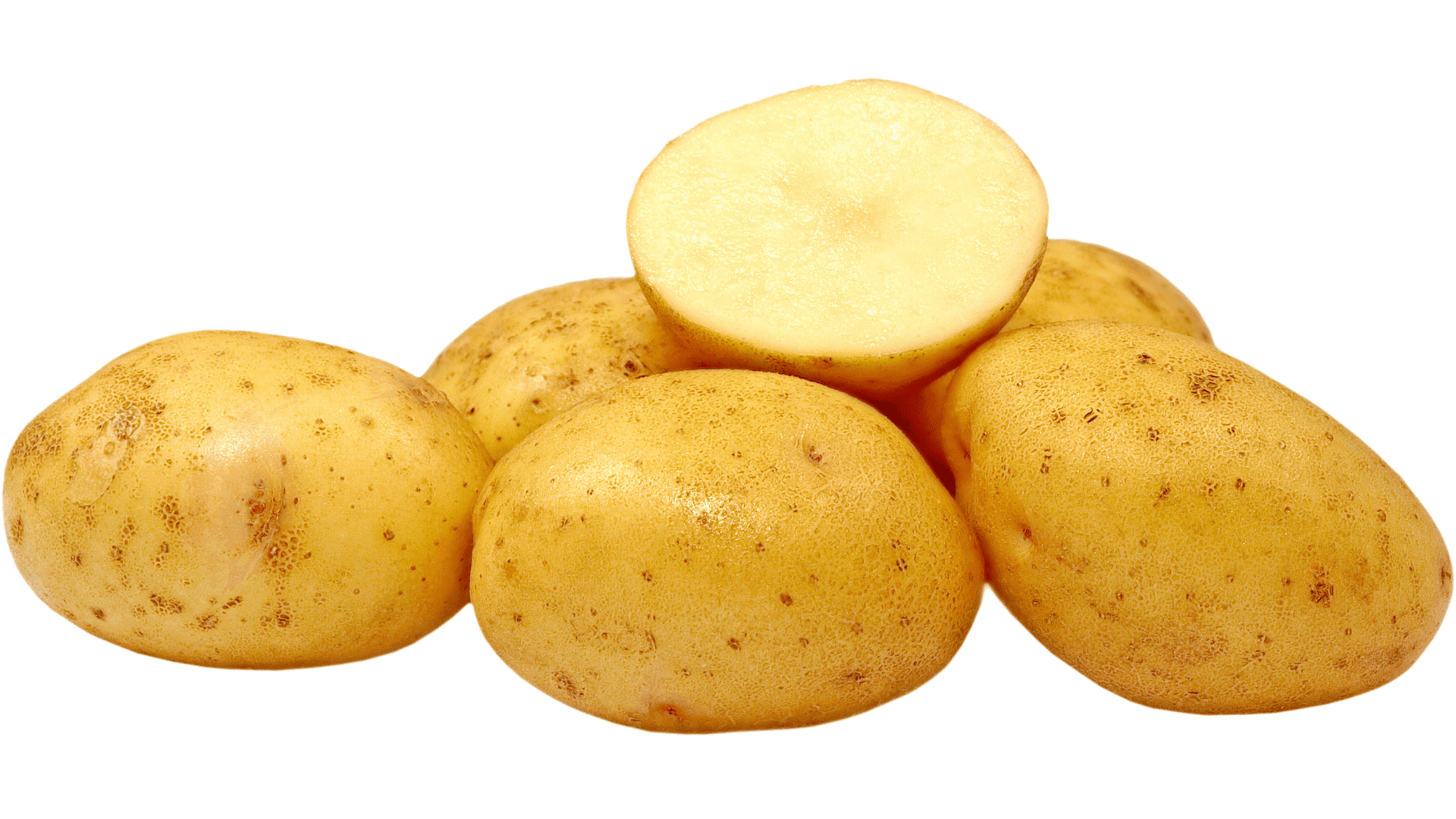 Teen Library Community Presents: Potatopalooza!