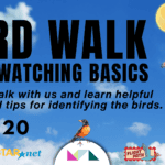 Bird Walk: Bird Watching Basic