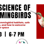 The Science of Hummingbirds