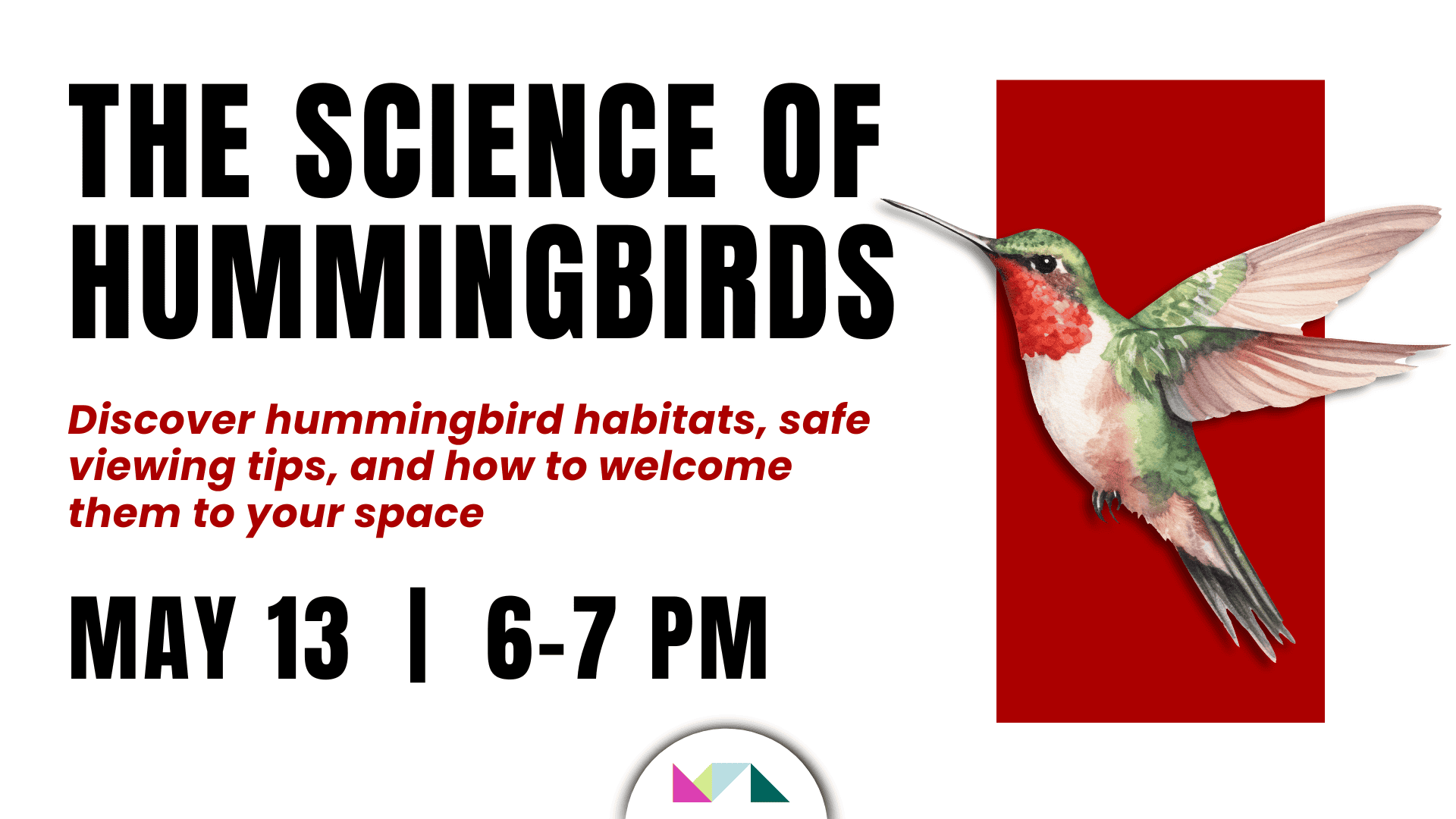The Science of Hummingbirds