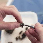 Teen Tuesday Owl Pellet Excavation 1 Teen Tuesday Owl Pellet Excavation