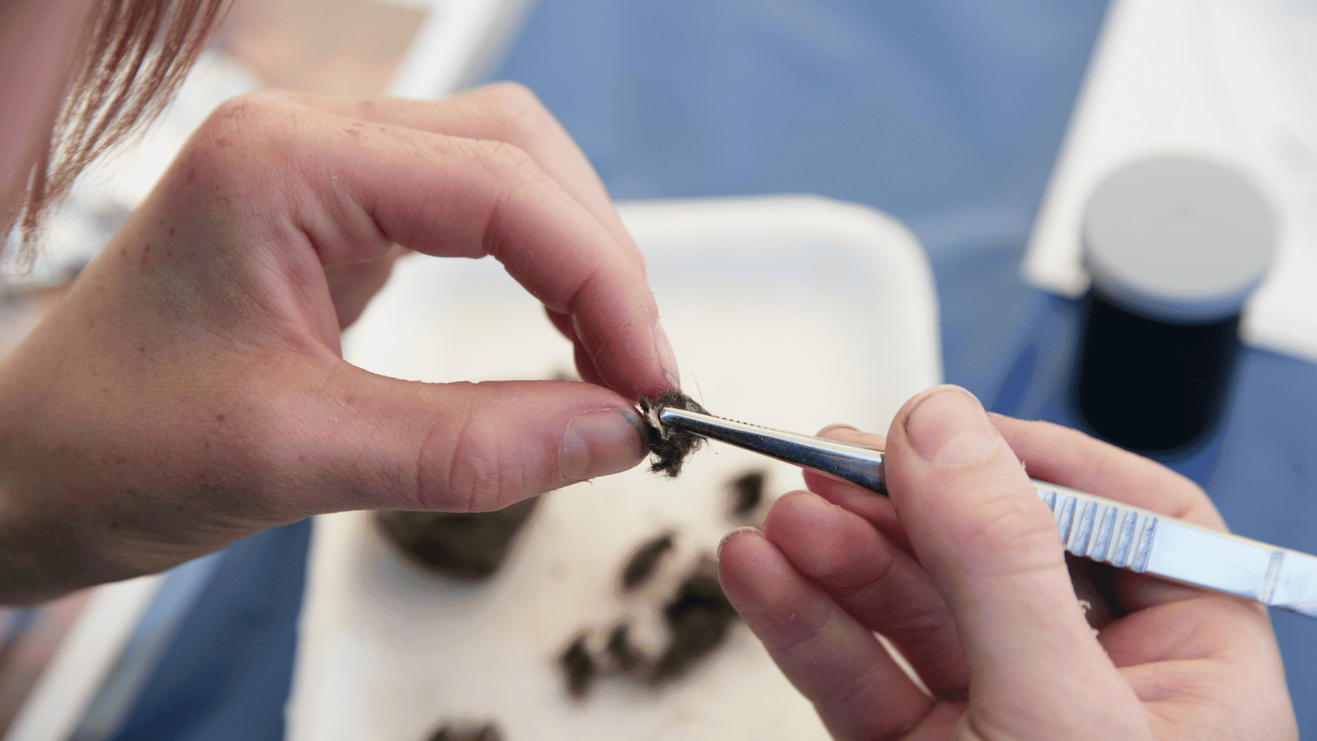 Teen Tuesday Owl Pellet Excavation