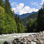 50 Years With A River Runs Through It - A Conversation with O. Alan Weltzien