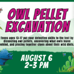 Owl Pellet Excavation 1 Summer Learning Program: Owl Pellet Excavation