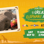 Sesame Street and the Great Elephant Adventure