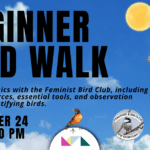 Beginner Bird Walk