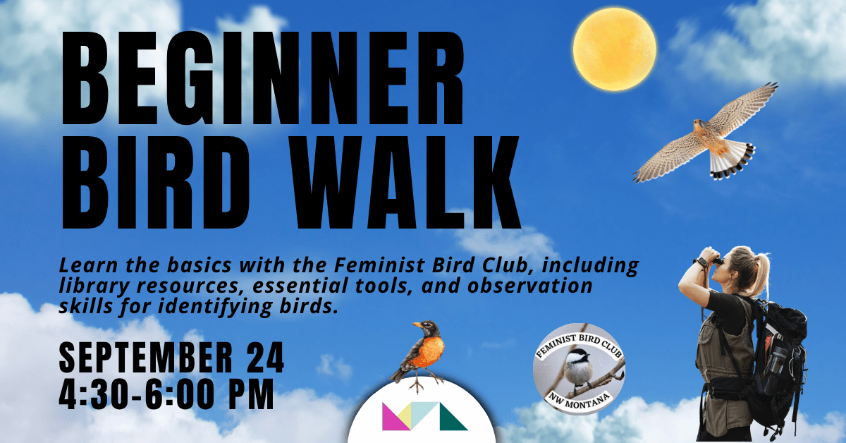 Beginner Bird Walk